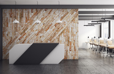 Trang trí không gian sống xanh với phong cách nội thất Eco